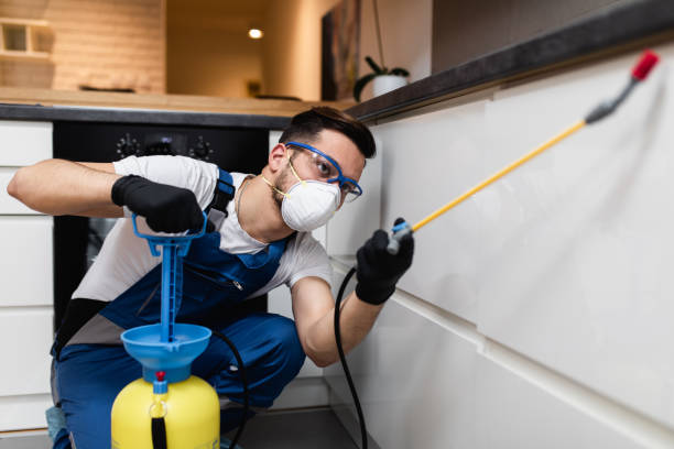 Best Ant Control Services  in Soulsbyville, CA