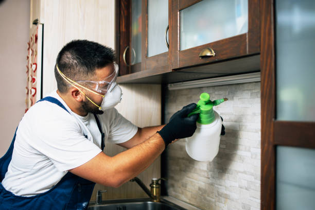 Best Wildlife Control Services  in Soulsbyville, CA