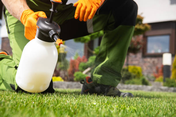 Best Spider Control Near Me  in Soulsbyville, CA