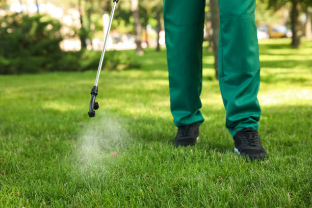 Best Flea Control Services  in Soulsbyville, CA