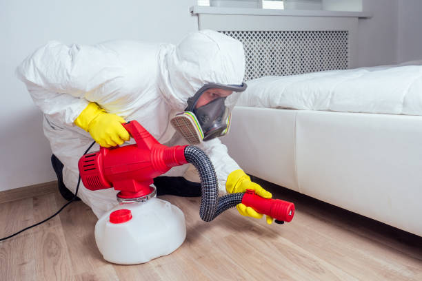 Best Bed Bug Extermination  in Soulsbyville, CA
