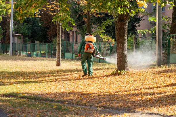 Best Residential Pest Control  in Soulsbyville, CA