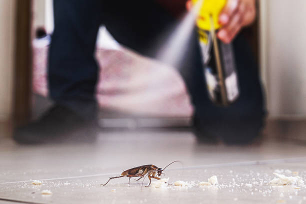 Best Best Pest Control Companies  in Soulsbyville, CA