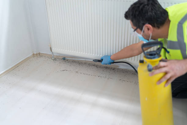 Best Affordable Pest Control Services  in Soulsbyville, CA